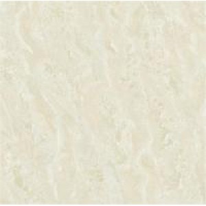 Gạch Trường Thịnh SIMPLICITYJP8882